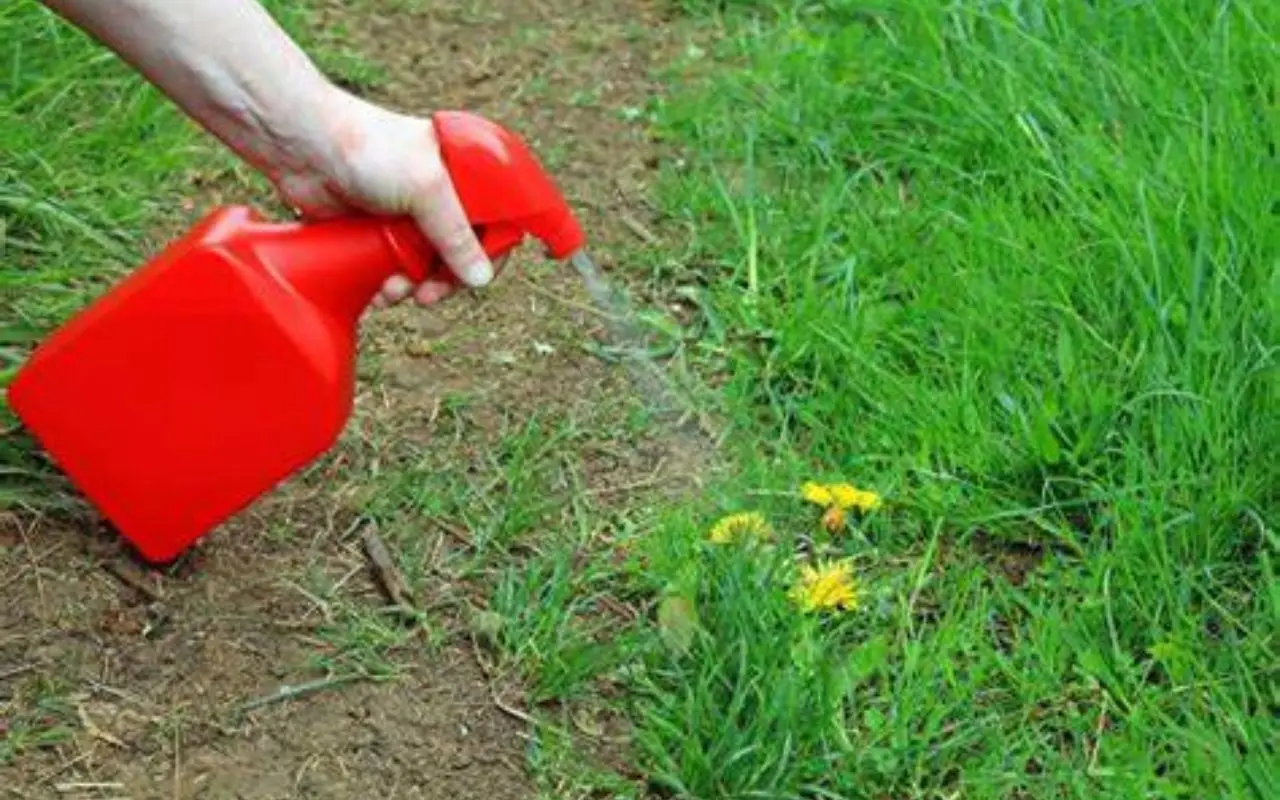 Il lato nascosto dei pesticidi naturali
